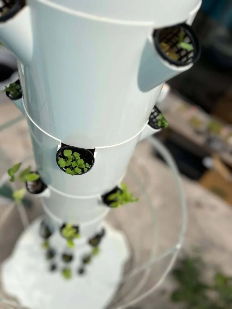 Aeroponic System